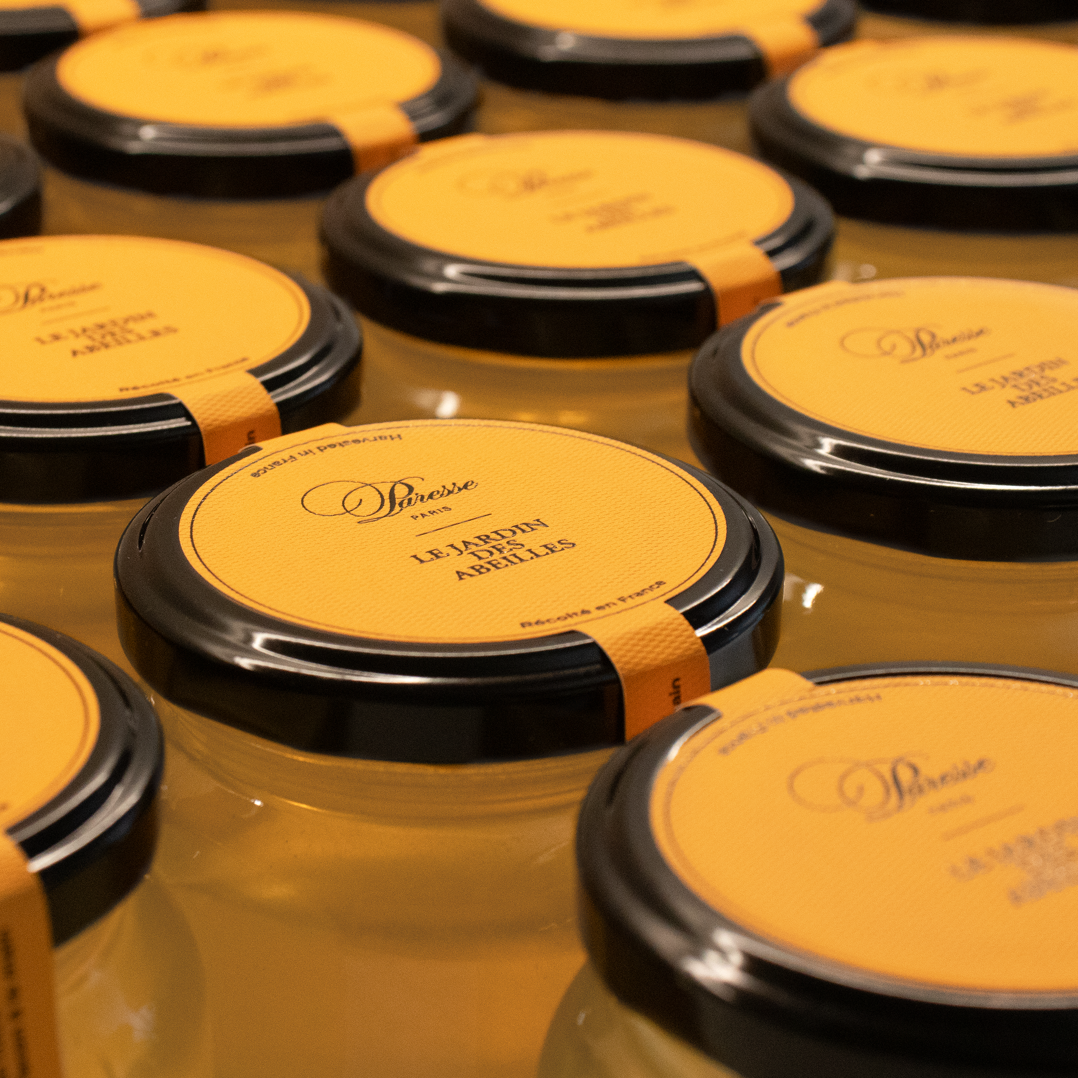Réserve de Bourgogne - Acacia Liquid Honey