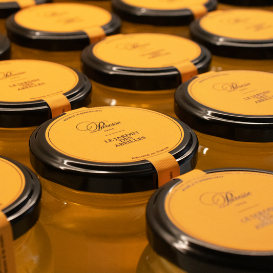 Réserve de Bourgogne - Miel Liquide d'Acacia