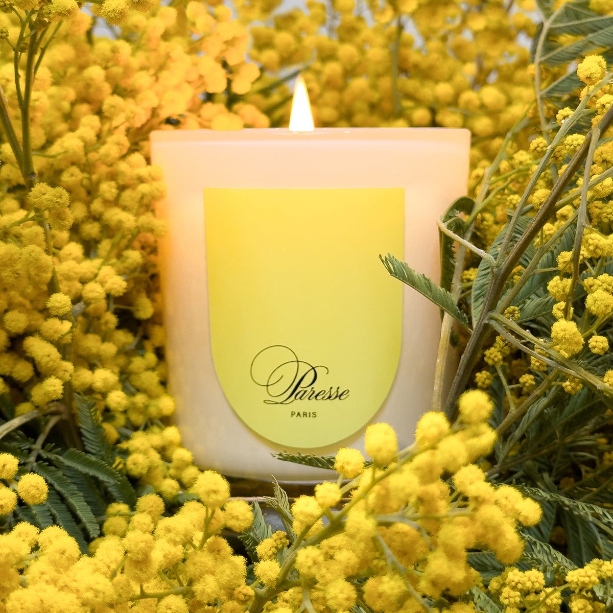 Bougie parfumée - Or Mimosa