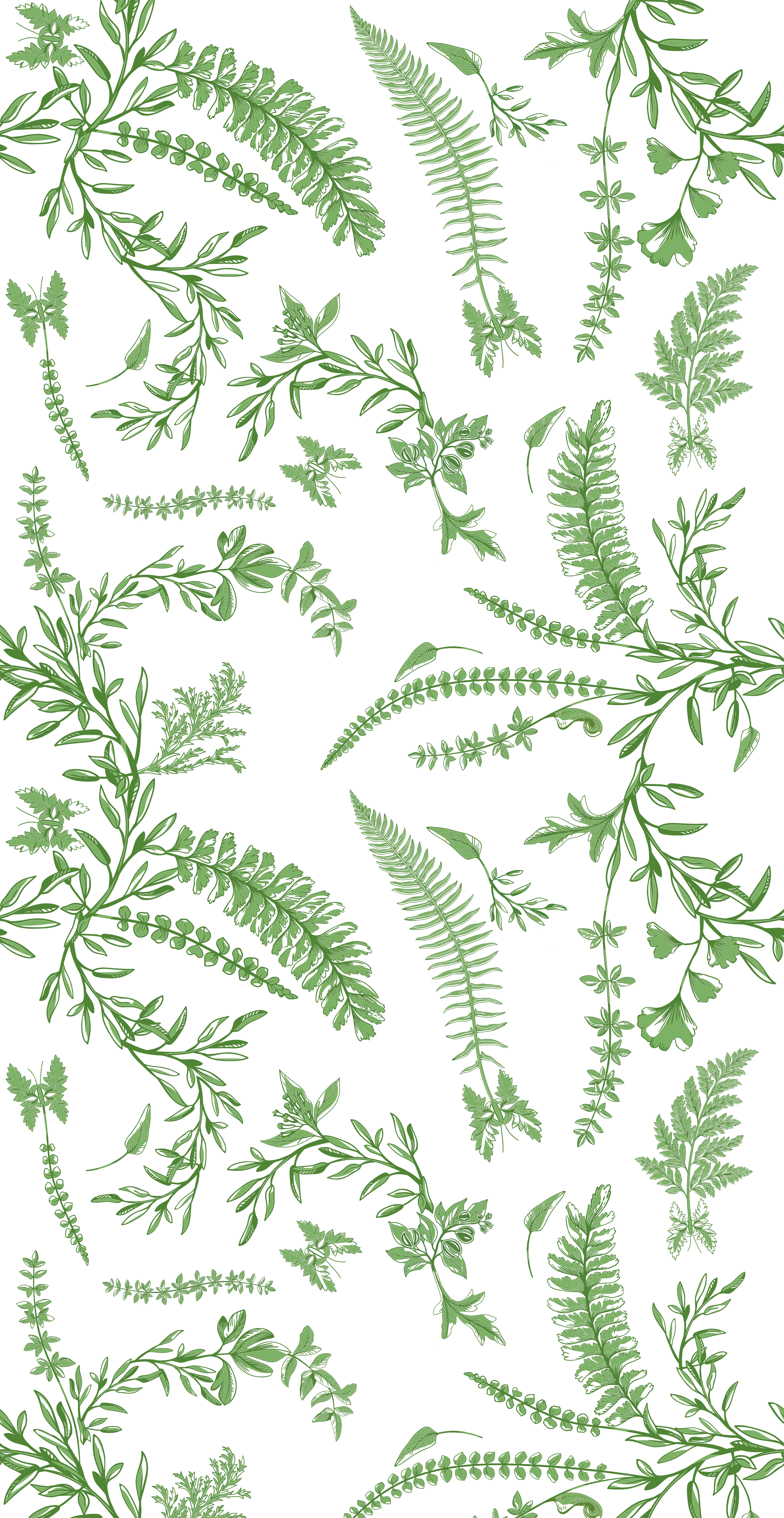 Forêt Secrète