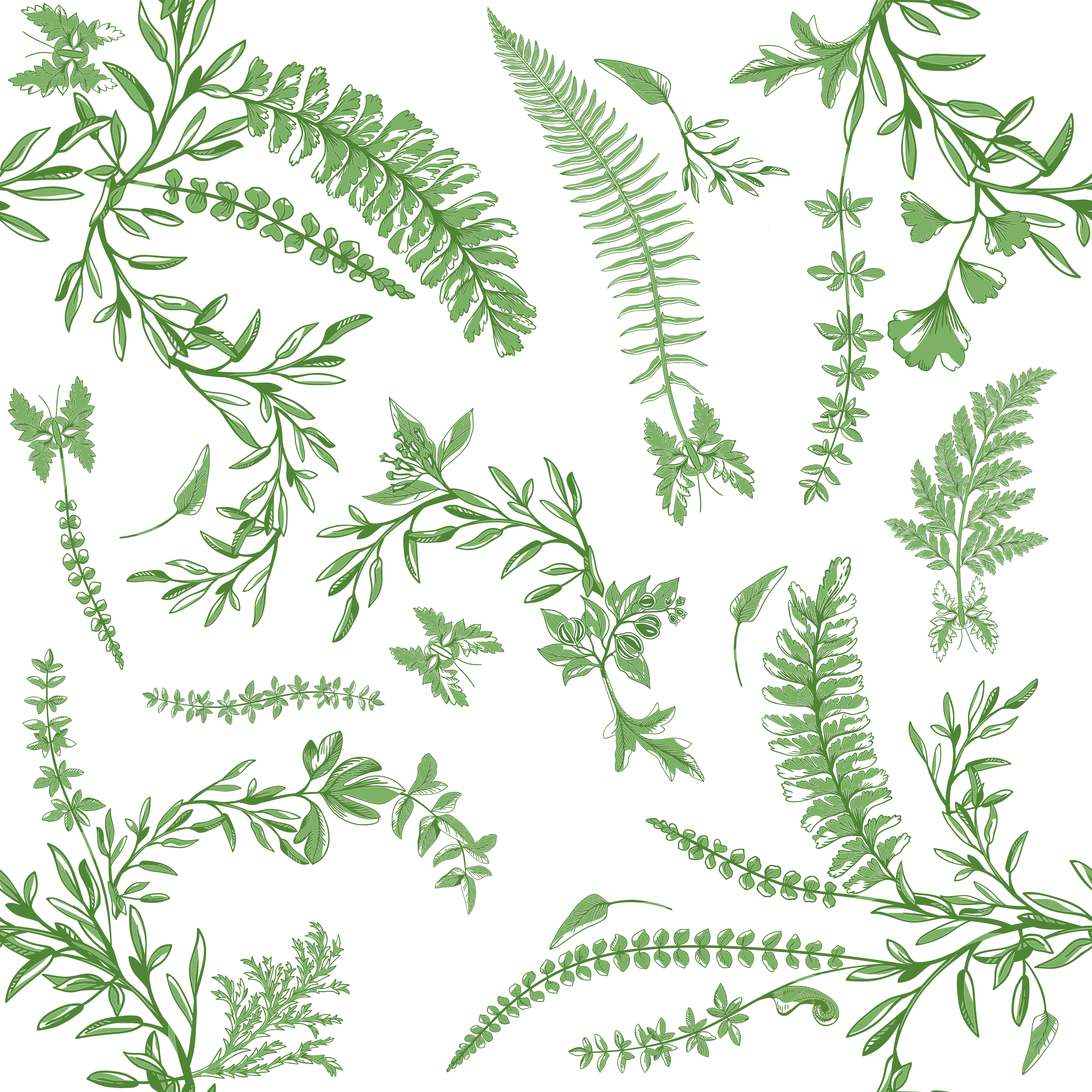 Forêt Secrète