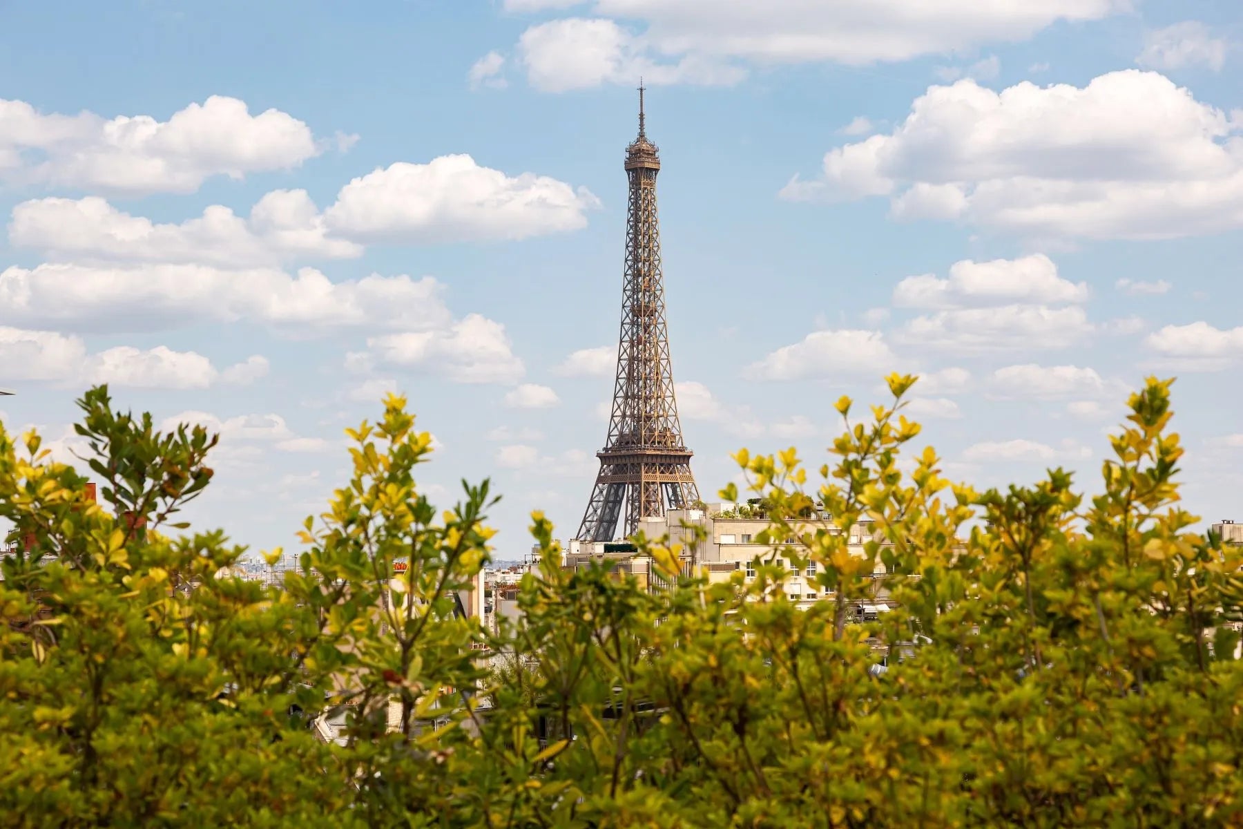 NOS ADRESSES PARISIENNES