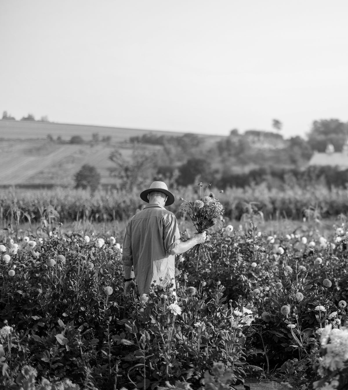 Paresse Paris lifestyle brand lifestyle gifts gifting wellness beauty flowers prints home made in france Julien Gourdard Lemoine