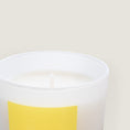 Charger l'image dans la visionneuse de la galerie, Paresse Paris lifestyle home flowers yellow Or Mimosa candle scent perfume gifting made in france parisian

